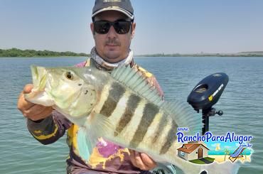 Chumbinho Guia de Pesca e Piloteiro em Miguelopolis - Chumbinho Guia de Pesca e Piloteiro em Miguelópolis