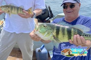 Rodrigo Guia de Pesca e Piloteiro em Miguelopolis - Rodrigo Guia de Pesca e Piloteiro em Miguelópolis