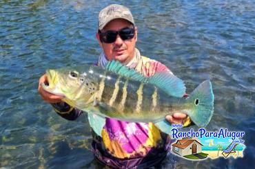 Chumbinho Guia de Pesca e Piloteiro em Miguelopolis - Tucunaré Azul