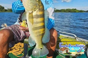 Chupa Cabra Guia de Pesca e Piloteiro em Miguelopolis - Chupa Cabra Guia de Pesca e Piloteiro em Miguelópolis