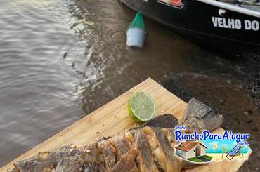Wellington Japonês Guia de Pesca e Piloteiro em Miguelopolis - Wellington Japonês Guia de Pesca e Piloteiro em Miguelópolis
