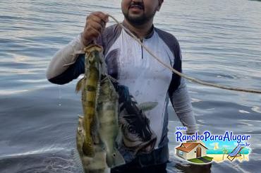 Wellington Japonês Guia de Pesca e Piloteiro em Miguelopolis - Wellington Pescador Guia de Pesca e Piloteiro em Miguelópolis