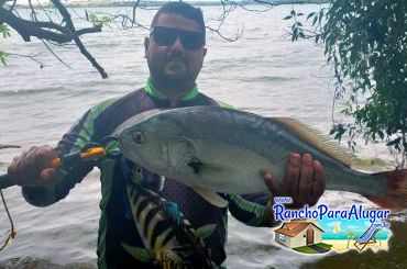 Wellington Japonês Guia de Pesca e Piloteiro em Miguelopolis - Wellington Pescador Guia de Pesca e Piloteiro em Miguelópolis