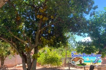 Rancho Aconchego para Alugar em Lins - Pomar