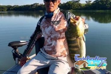 Paulo Benício Guia de Pesca e Piloteiro em Miguelopolis - Paulo Benício Guia de Pesca e Piloteiro em Miguelópolis