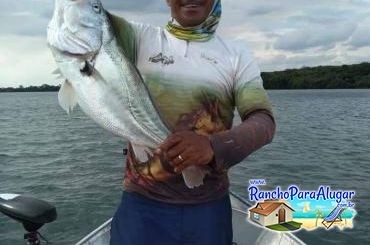 Paulo Benício Guia de Pesca e Piloteiro em Miguelopolis - Paulo Benício Guia de Pesca e Piloteiro em Miguelópolis