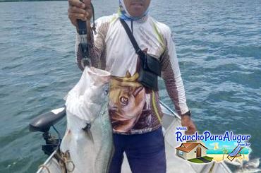 Paulo Benício Guia de Pesca e Piloteiro em Miguelopolis - Paulo Benício Guia de Pesca e Piloteiro em Miguelópolis