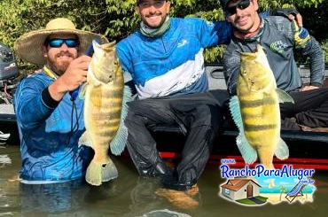 Roberteira Guia de Pesca e Piloteiro em Miguelopolis - Roberteira Guia de Pesca e Piloteiro em Miguelópolis