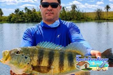 Adrian Master Guia de Pesca e Piloteiro em Miguelopolis - Adrian Guia de Pesca e Piloteiro em Miguelópolis