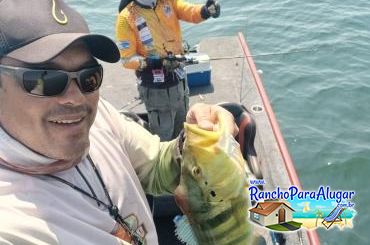 Pezao Guia de Pesca Guia de Pesca e Piloteiro em Miguelopolis - Pezao Guia de Pesca Guia de Pesca e Piloteiro em Miguelópolis